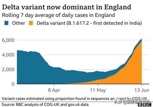 英国爆料病毒新闻最新,最新爆料揭示疫情背后惊人内幕  第2张
