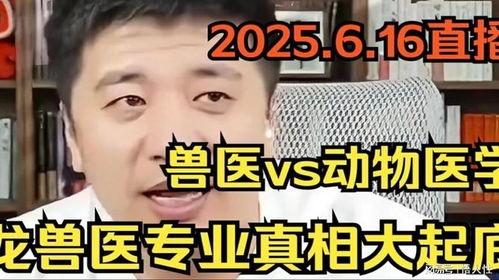韩国兽医爆料视频,揭露宠物食品行业惊人内幕